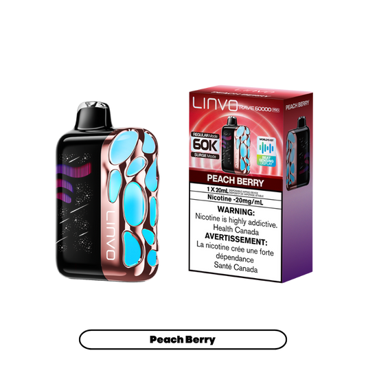 Linvo Rave 60000 bouffées - Vape jetable rechargeable pêche baie 20Mg